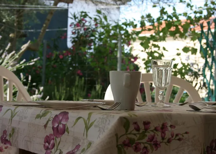 Sommer Pinezići