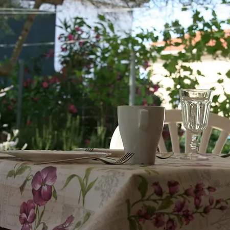 Sommer Pinezići